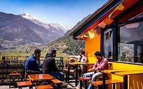 La Vaca India Manali